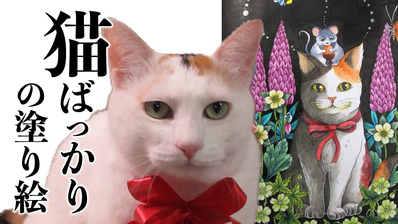 【大人のぬりえ】ねこ、ネコ、猫の塗り絵