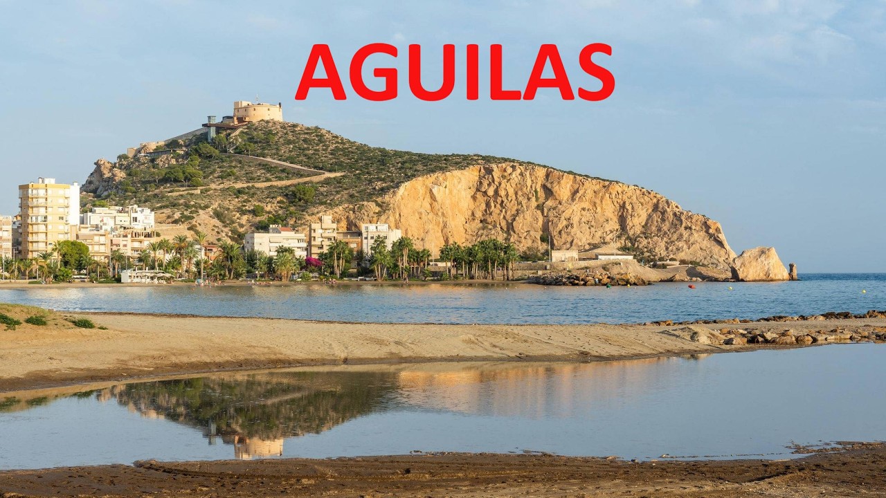37 Aguilas