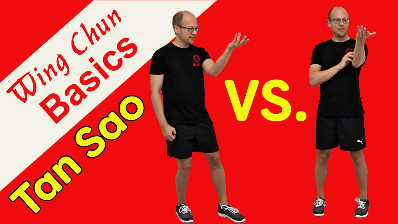 Wie macht man den Tan Sao richtig? | Wing Chun Grundlagen
