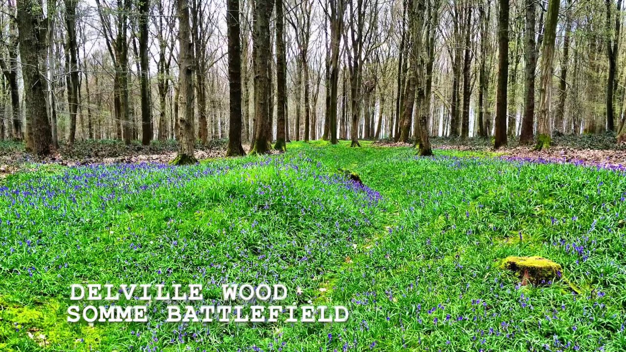 Delville Wood, Somme Battlefield, WW1, Spring & Summer