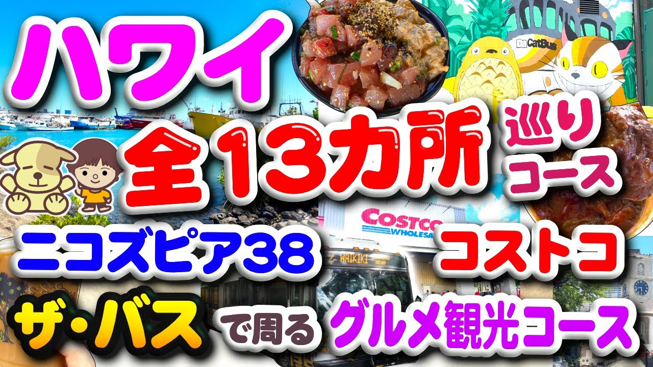 ハワイ最新 激うまグルメ・安い買い物・インスタ映え有名観光地を巡るザ バス満喫コース／ニコスピア38でお得ポケ丼&プレートランチ／安いお土産コストコ／カメハメハ大王像 イオラニ宮殿 ワイキキ カカアコ