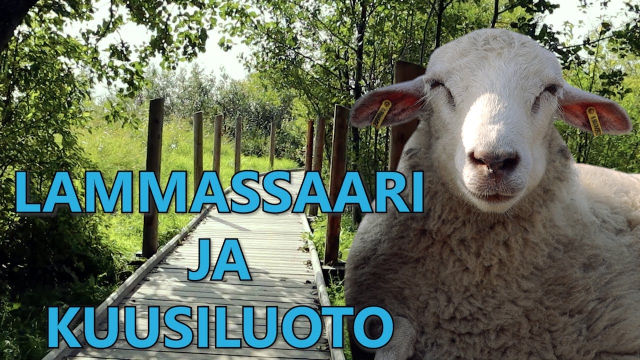 Lammassaari ja kuusiluoto, Helsinki