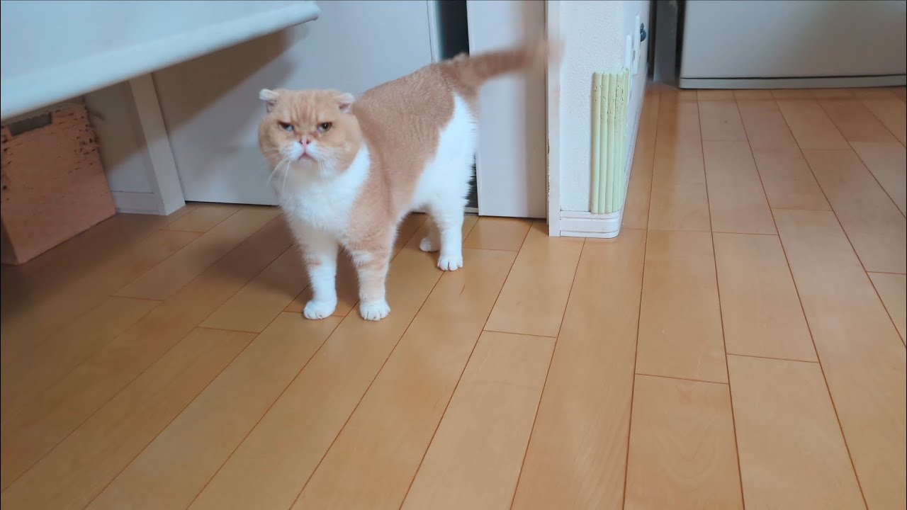 おぬしヒマか？