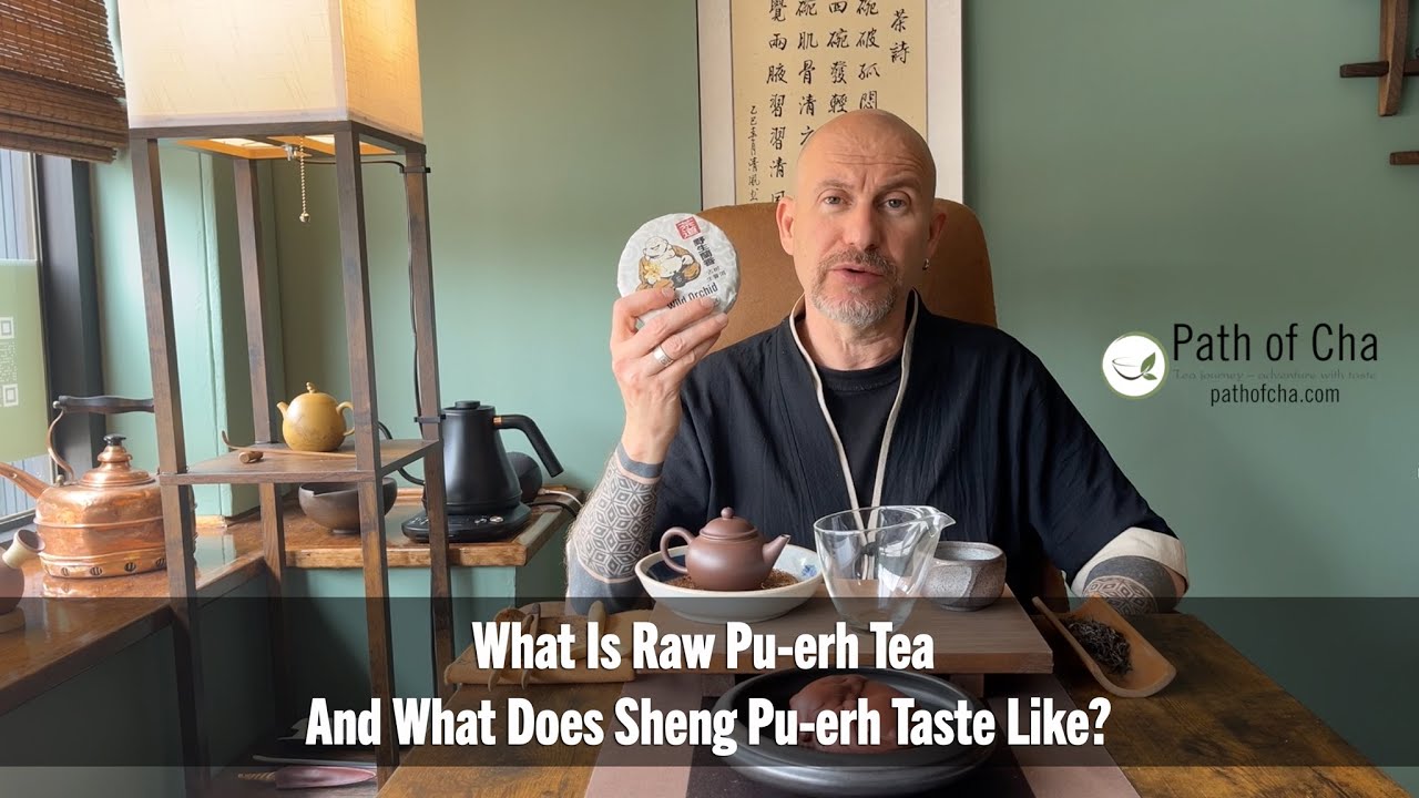 What Is Raw Pu-erh Tea And What Does Sheng Pu-erh Taste Like?