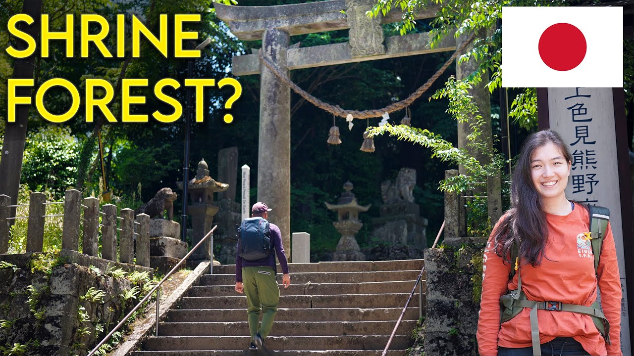 What can be found in an SHRINE FOREST in Japan?  Kamishikimi