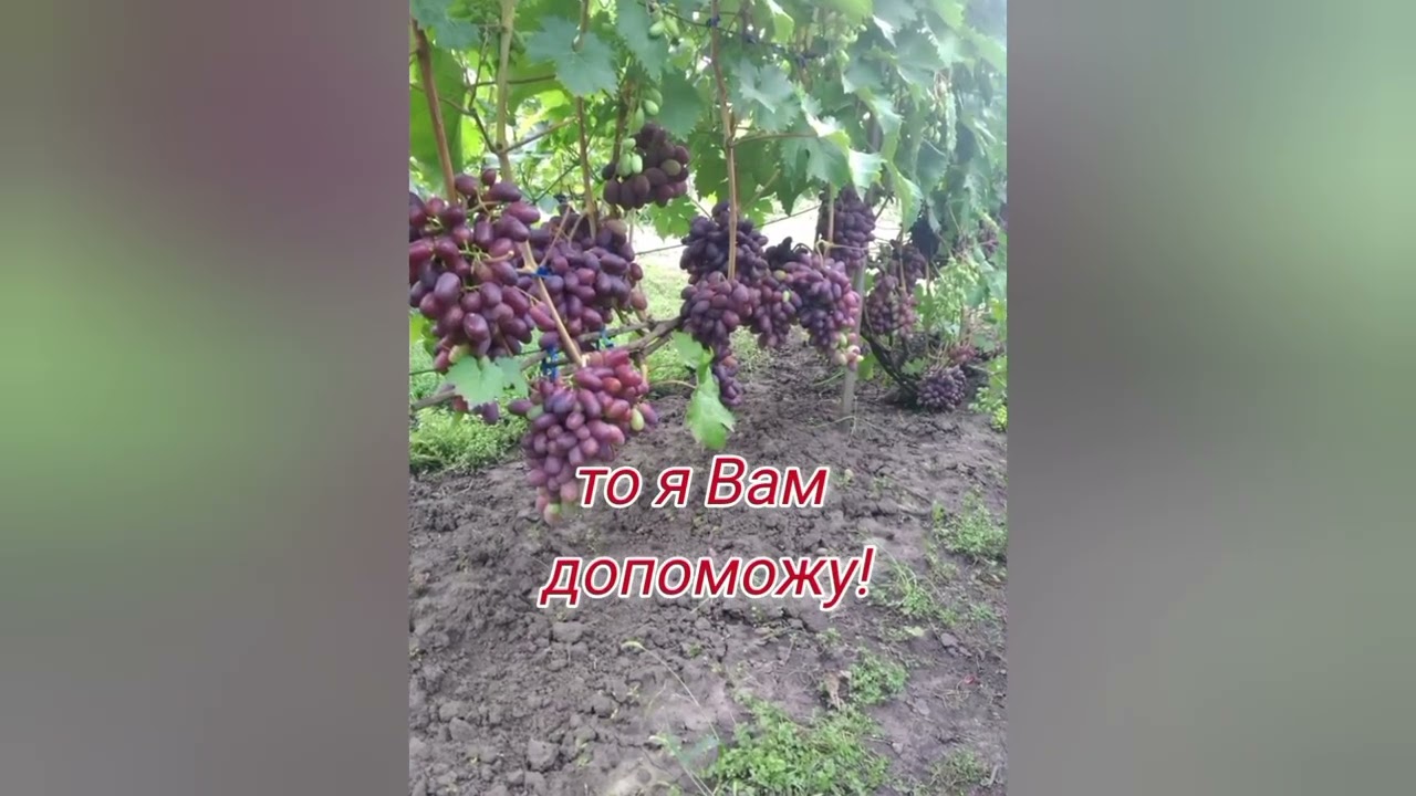 20 февраля 2026 г.