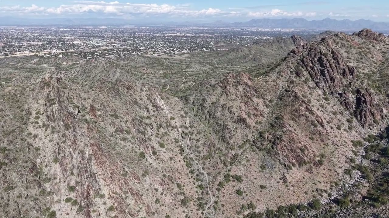 Phoenix