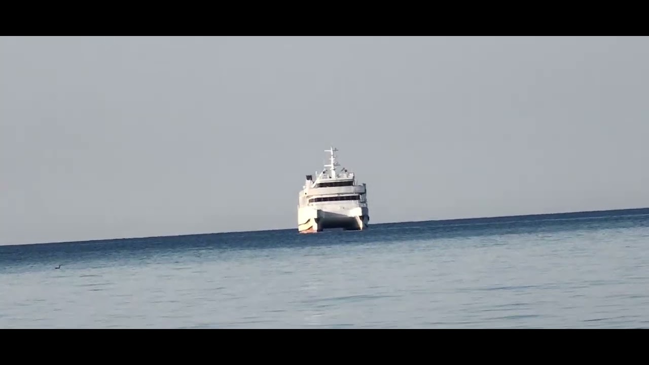 14 марта 2026 г.