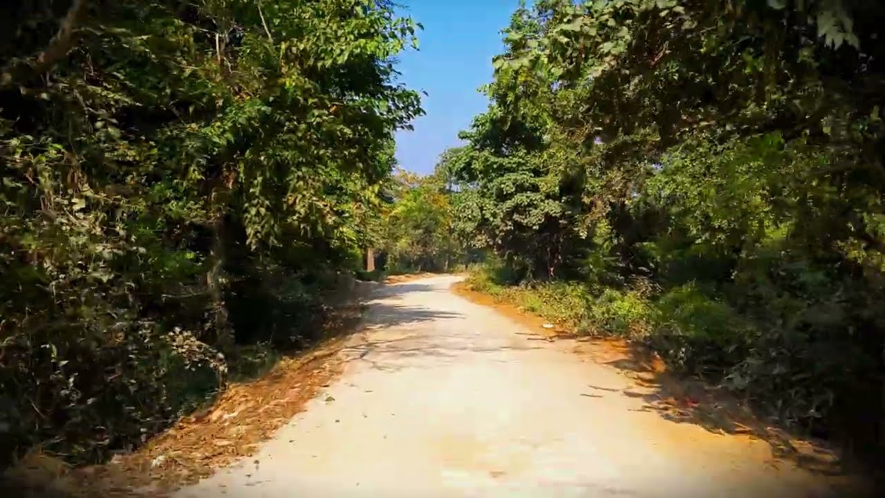 Travel in jungle side #viral #trending #youtube #youtubevideo #nature #video 