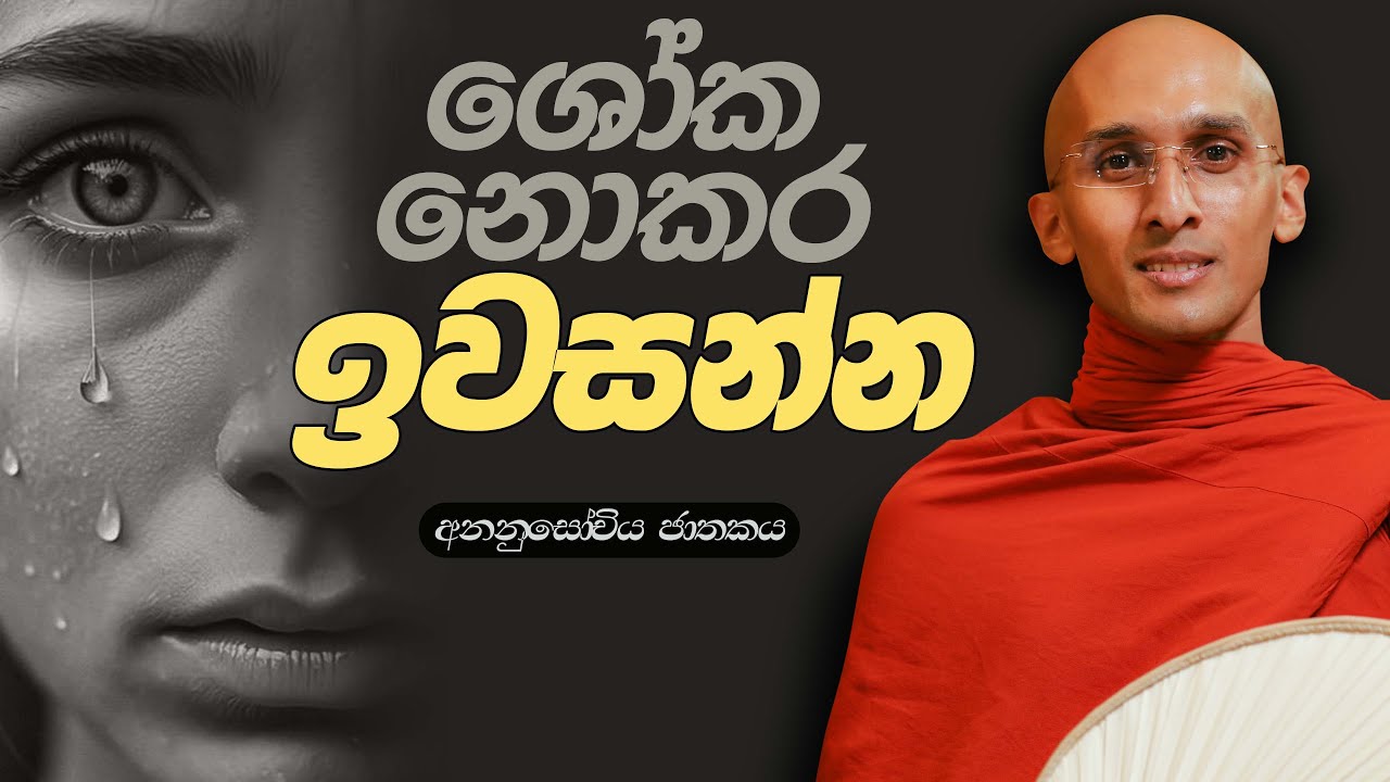 158. ශෝක නොකර ඉවසන්න | අනනුසෝචිය ජාතකය | 2023-10-30