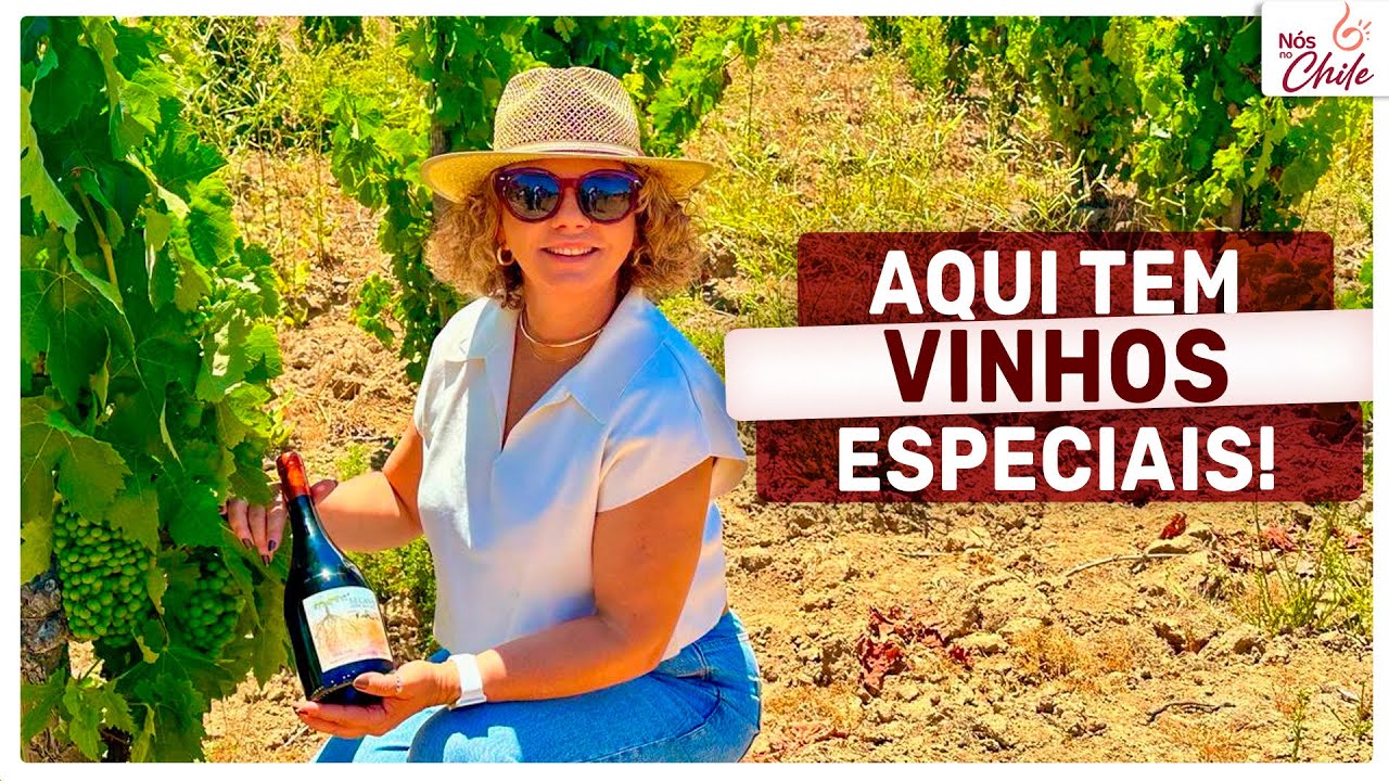 Fui conhecer a vinícola Polkura, no Valle de Colchagua - fiz o tour e degustação dos melhores vinhos