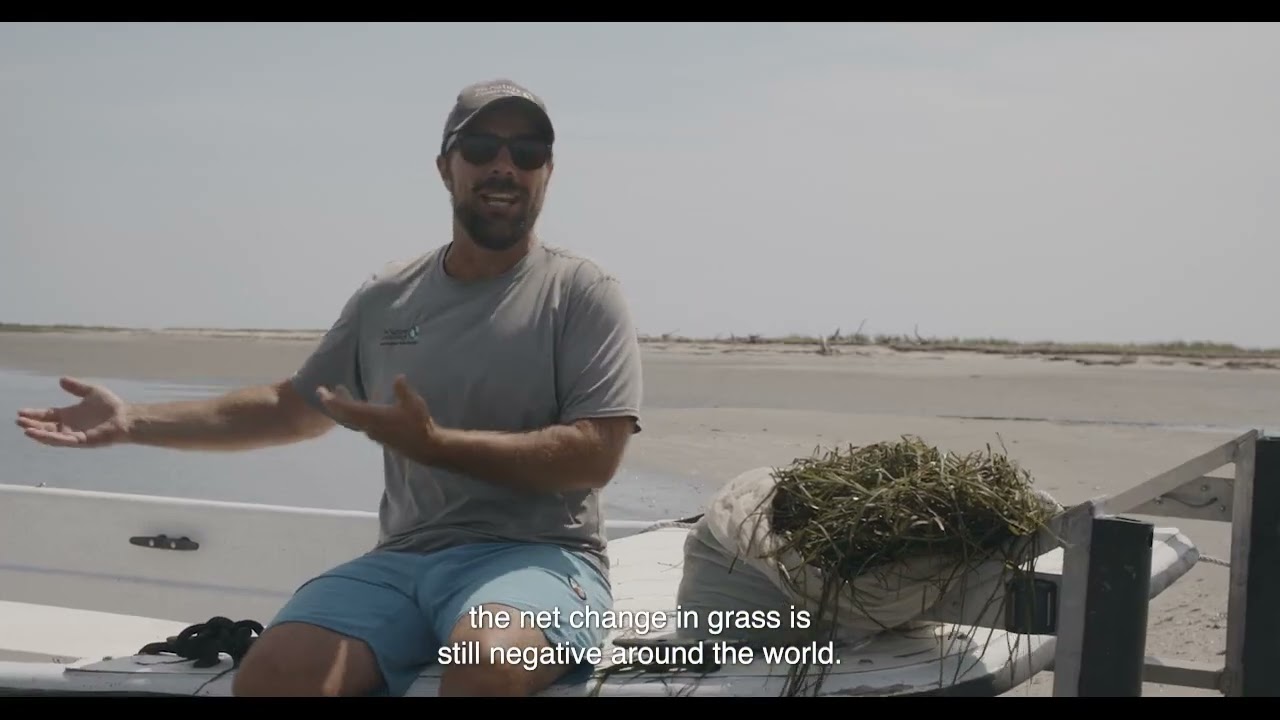 The Importance of Eelgrass: Virginia