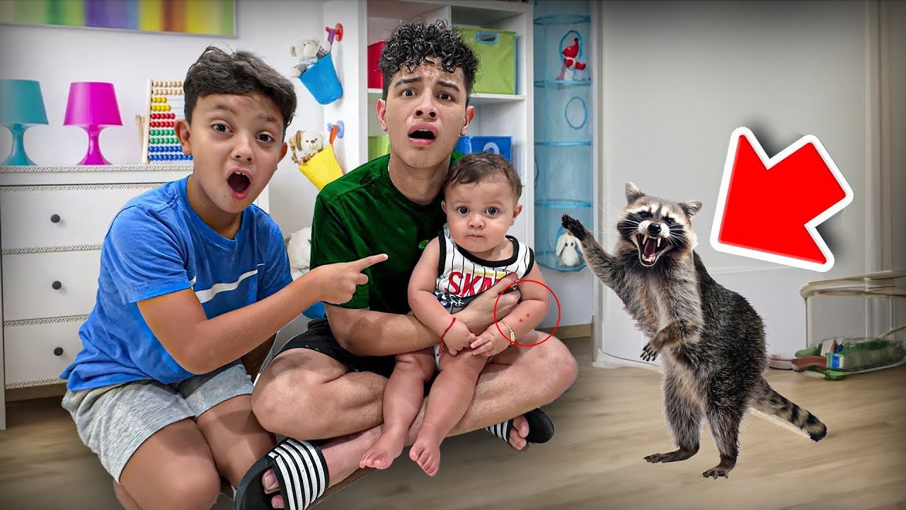 Our Little Brother Got Attacked By a Vicious Raccoon