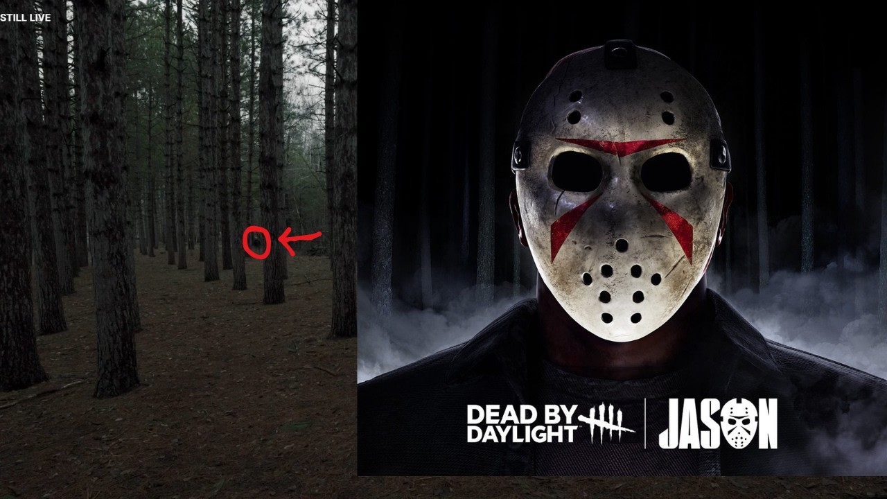 Stalker in the woods