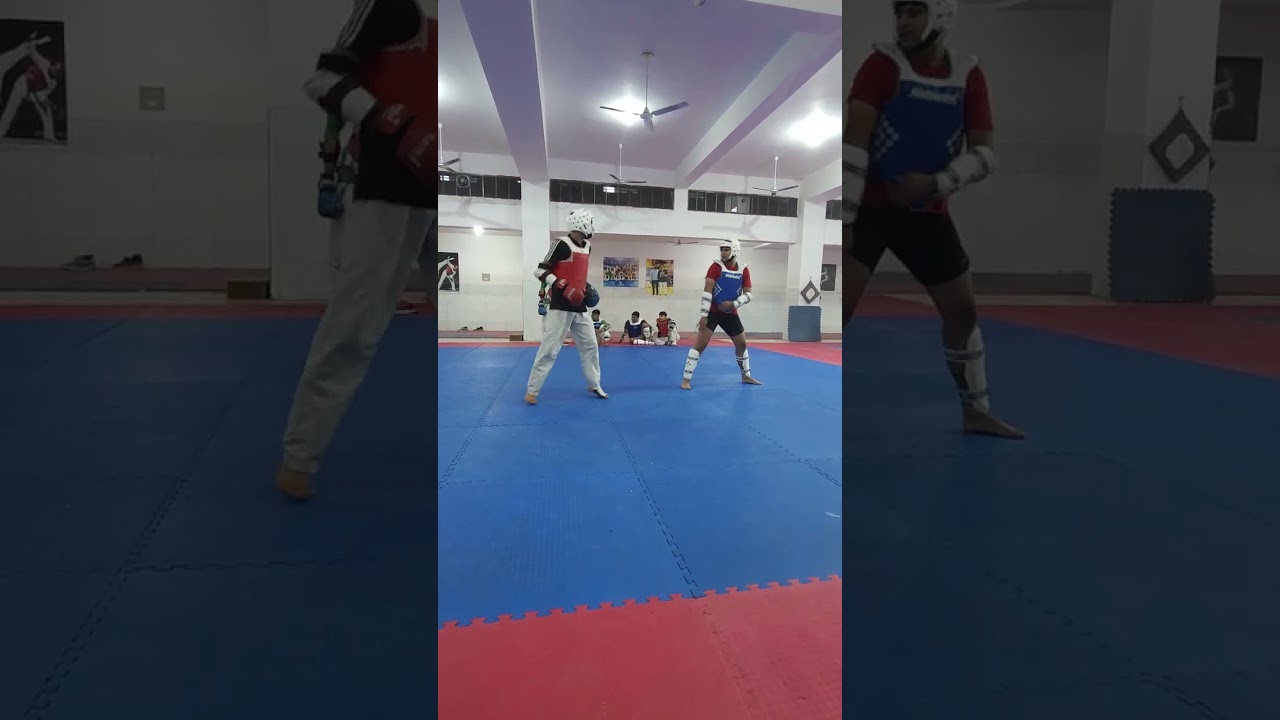 fight session