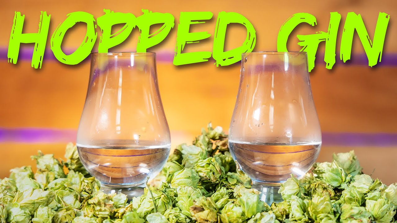 How To Make Hopped Gin: 2 Ways, Juicy & Resinous