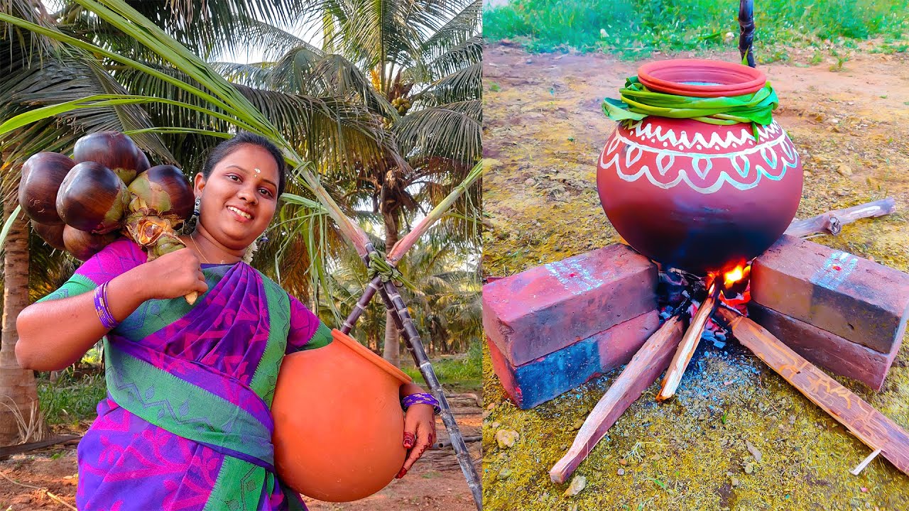 TODDY PALM FRUIT PONGAL | Village Pongal Celebration | Banana Leaf Cooking