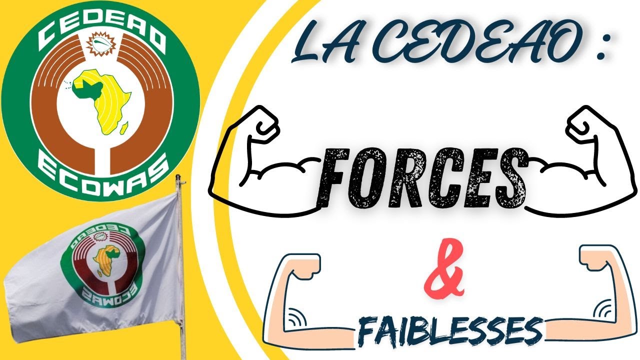 La CEDEAO : forces et faiblesses
