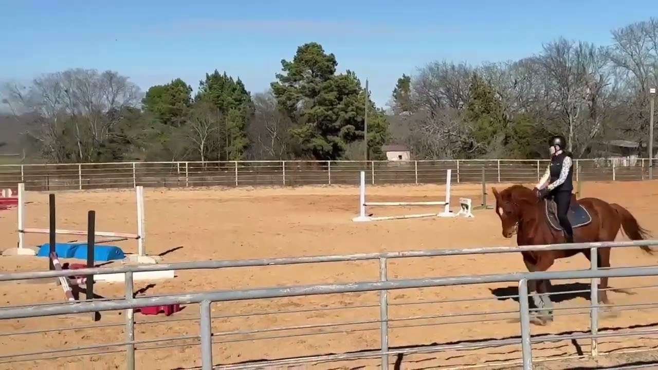 Osiris w/teen rider January ‘26