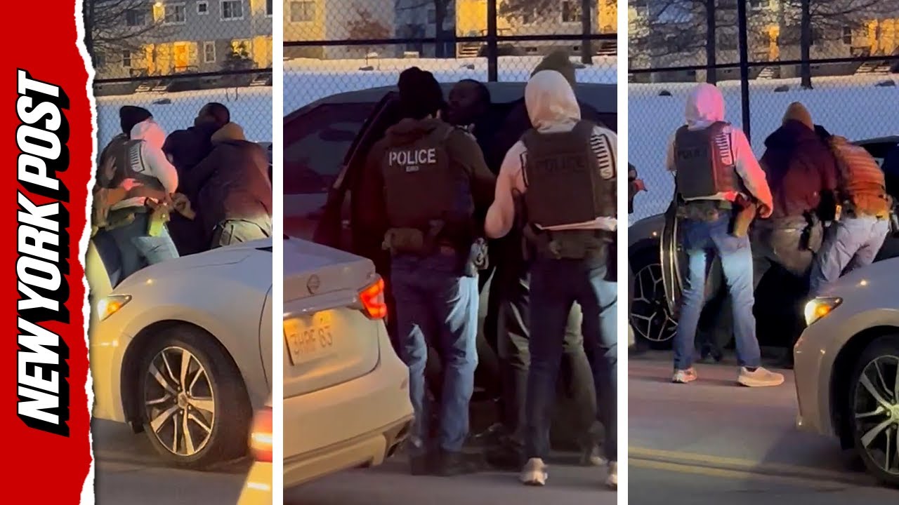 ’I’m a Corrections Officer!’: Chaotic Moment ICE Detains Maine Law Enforcement Recruit