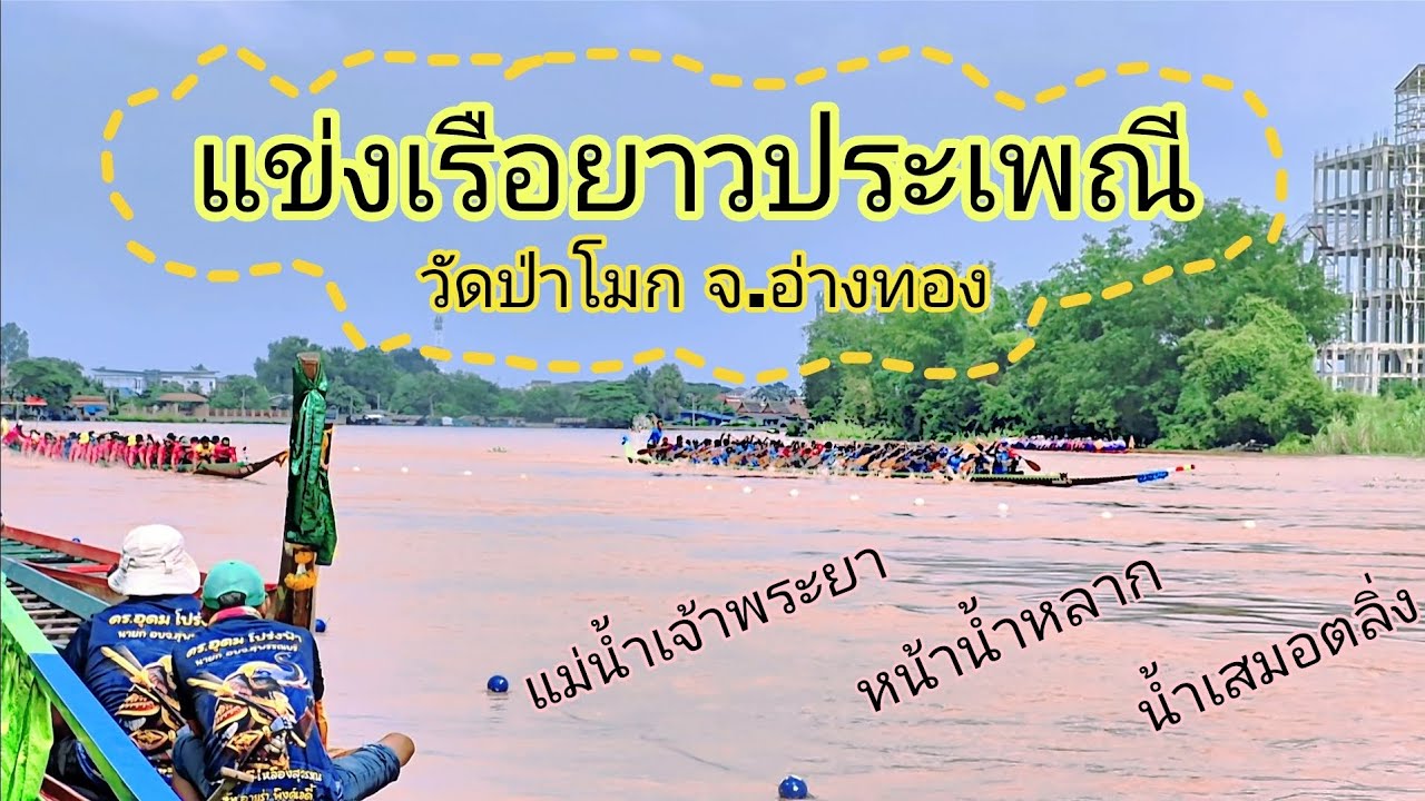 การแข่งเรือยาวประเพณี ของวัดป่าโมก #อ่างทอง  ปีนี้น้ำเสมอตลิ่ง เจ้าพระยาน้ำเยอะมาก #แข่งเรือยาว