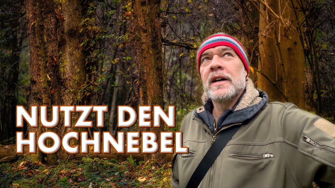 Waldfotografie im Hochnebel | Keine Schatten - keine Probleme