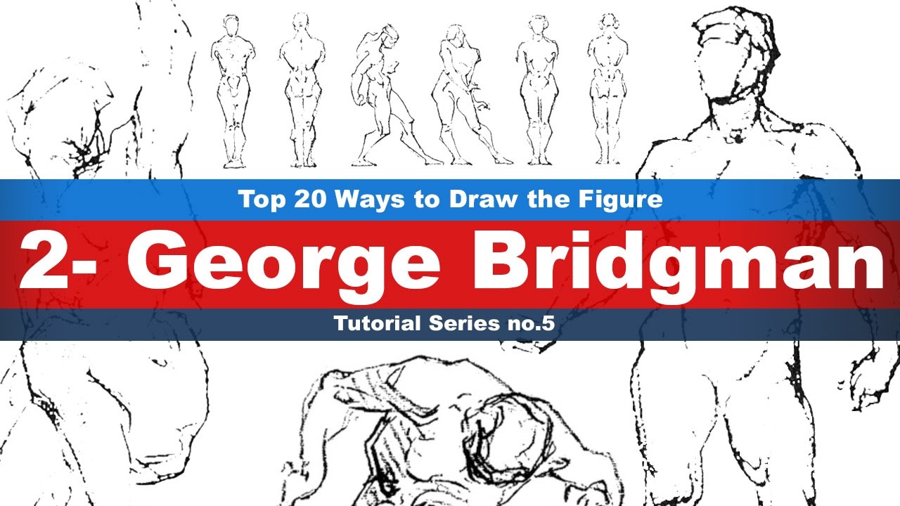 Top 20 Ways to Draw the Figure (2-George Bridgman) Tutorial series No.5