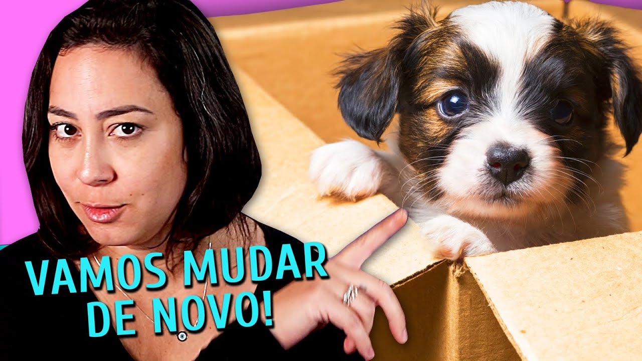 SUPER DICAS PARA MUDAR DE CASA COM O CACHORRO