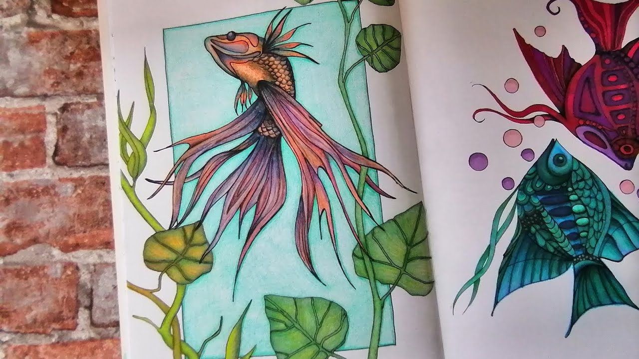 Erster Monat meiner Ausmalreise / First Month of my Coloring Journey