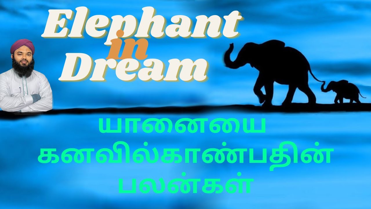 யானையை கனவில் காண்பதின் பலன்கள்  ( Elephant in Dream Islamic interpretation )