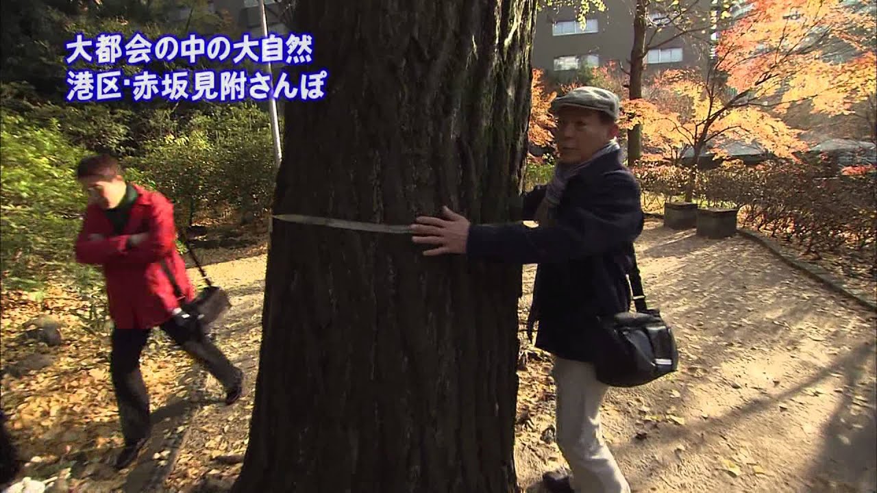 2011年1月31日 ちい散歩 赤坂見附