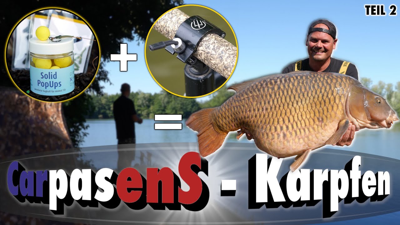 💣🎣 Karpfen bis 33 Kilo am Carpasens, Taktik, Technik, Futter & Tricks - das XXL Format - Teil 2