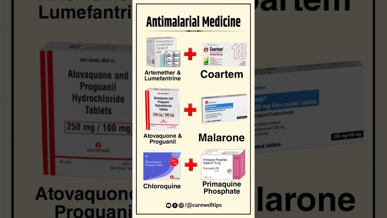 Antimalarial Medicines | Treatment & Uses #Malaria #Antimalarial #Health