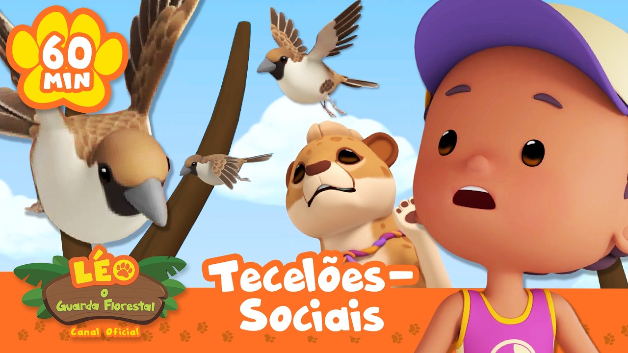 Um bando de pássaros está voando em nossa direção! | Leo, O Guarda Florestal | Animação
