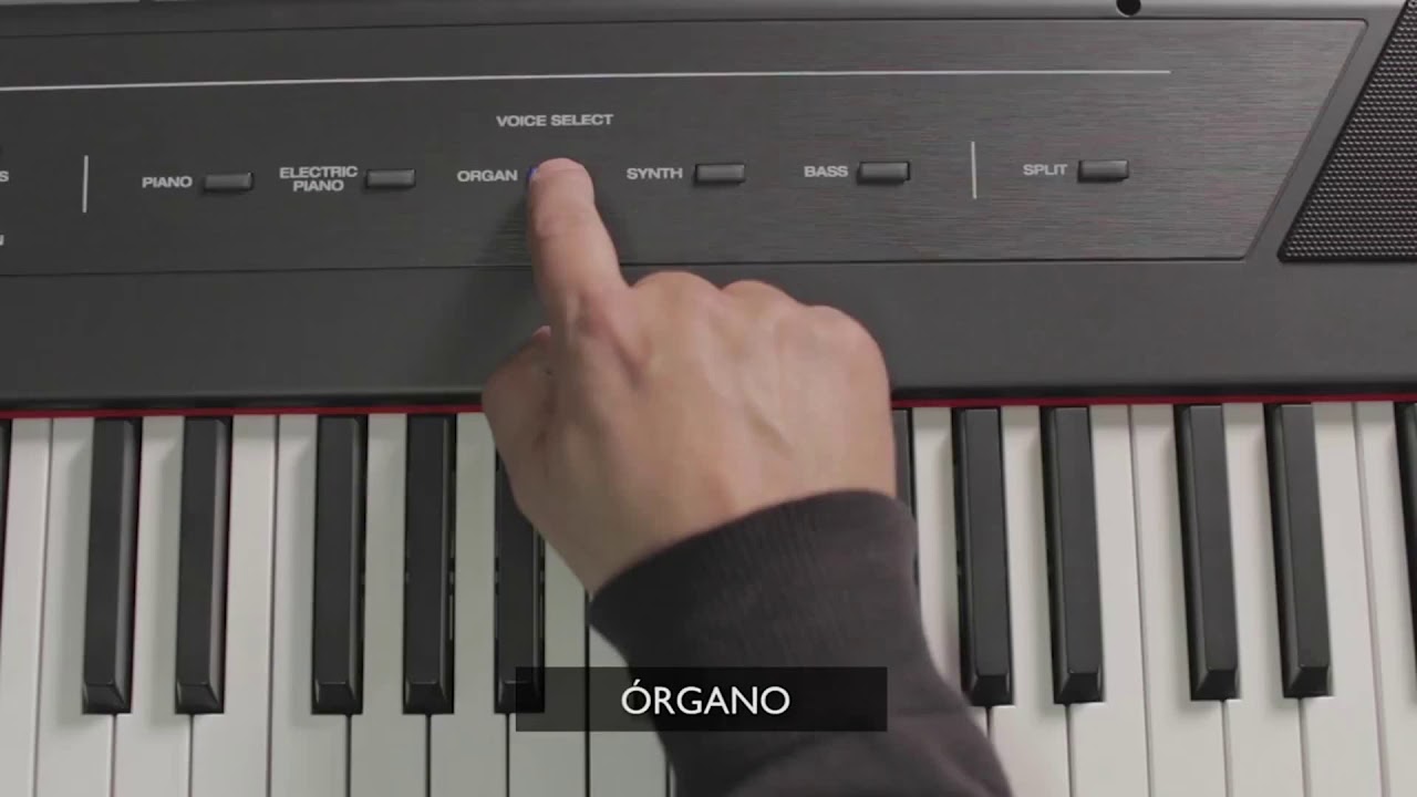 Piano Alesis Recital Digital 88 Teclas Semi-pesadas - COLOMBIA