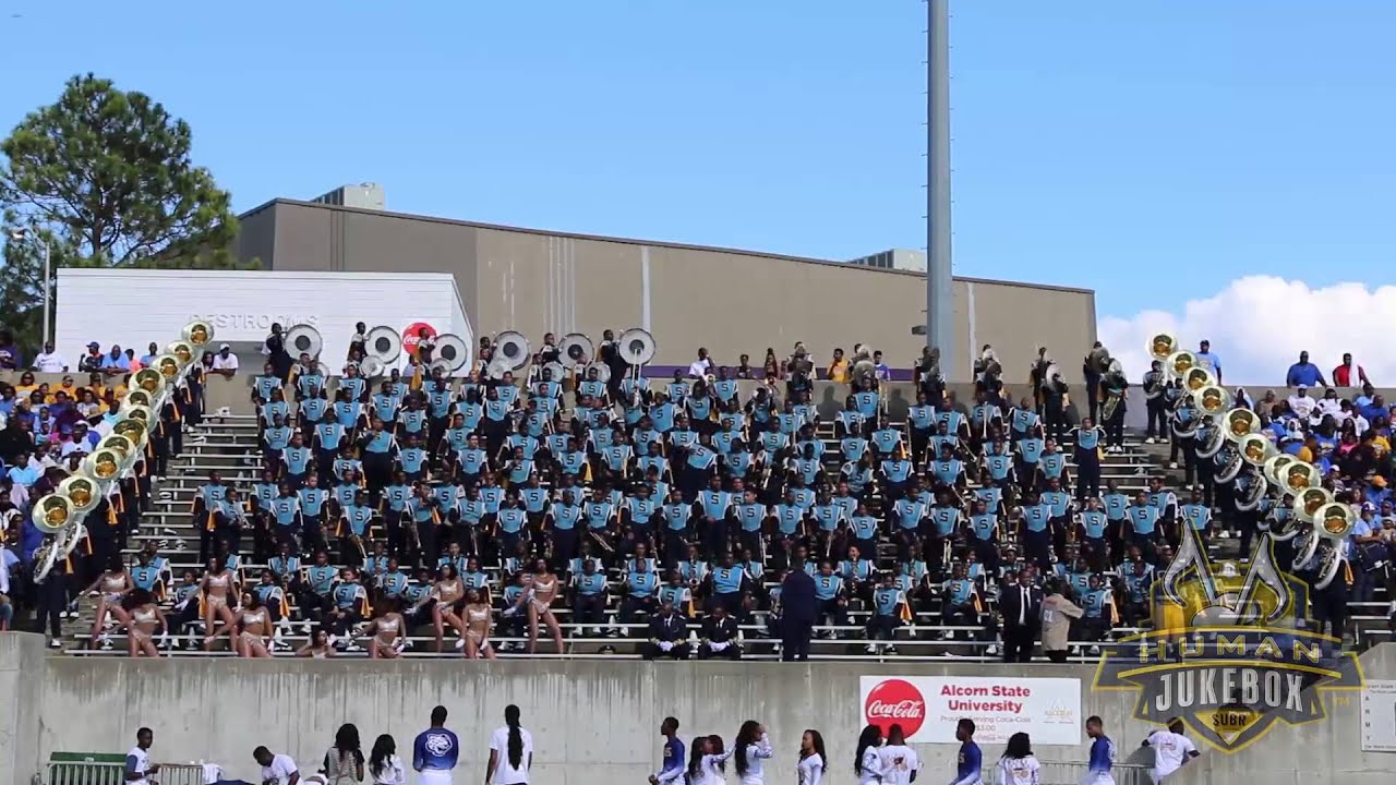 Southern University Human Jukebox 2014 