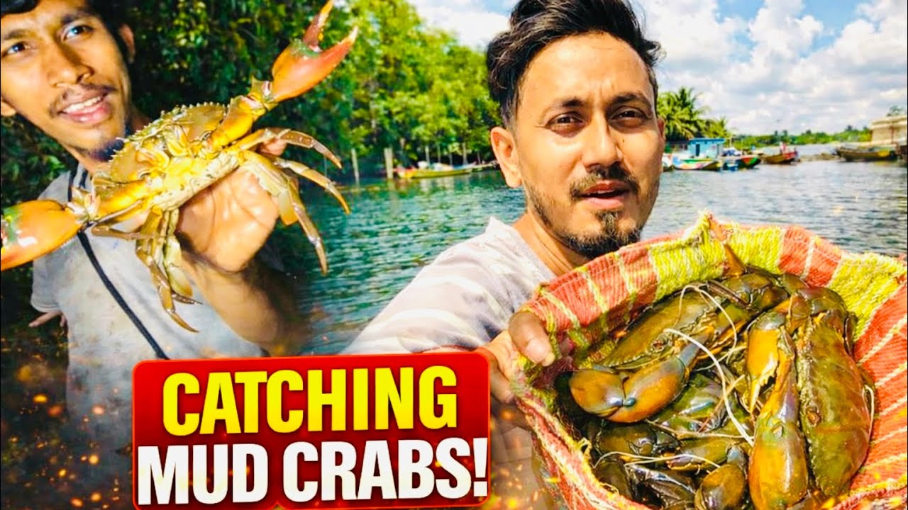 দুইজনে কাকড়ার মেলা বসিয়েছি || Catching Mud crab @ANDAMAN_HUNTERS 