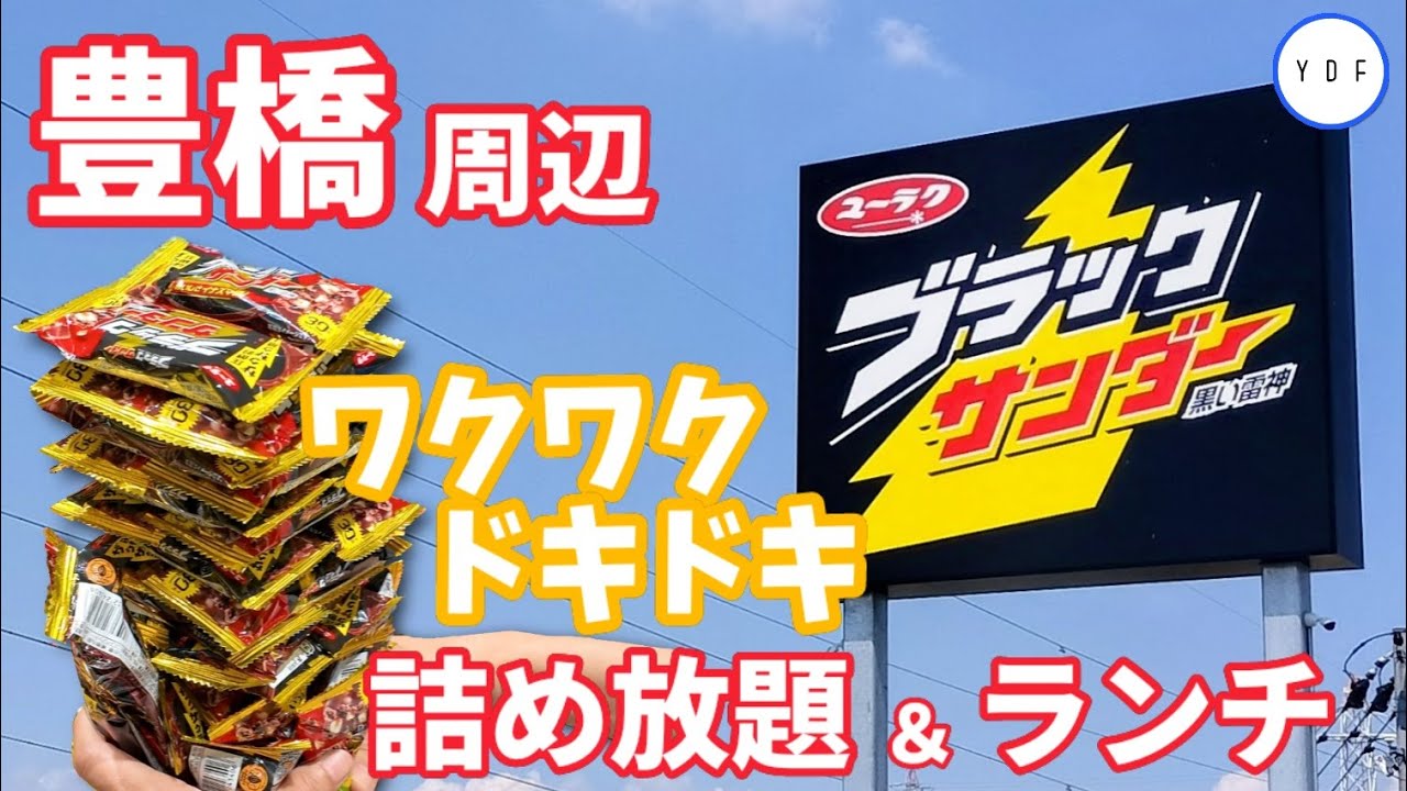 【車中泊】豊橋周辺 | ワクワクドキドキ | コスパ最強！ | 詰め放題にチャレンジ＆ランチ