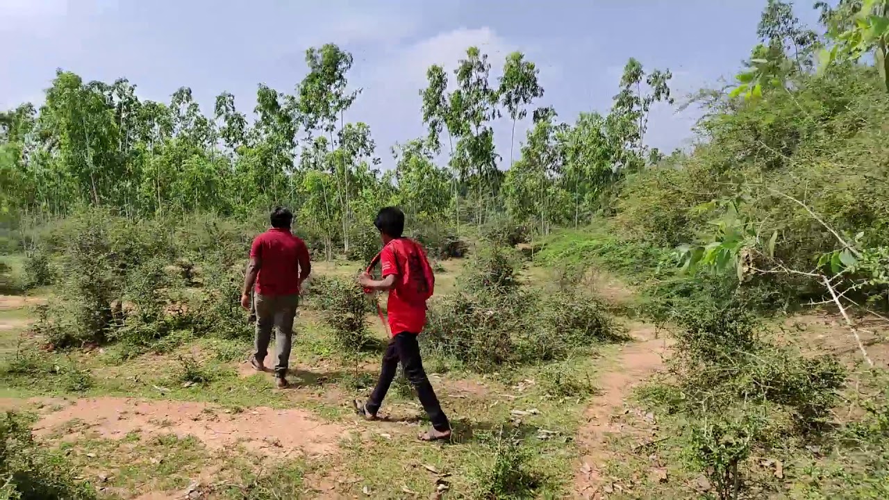 Forest and River vlogs || Kallakurichi vlogs