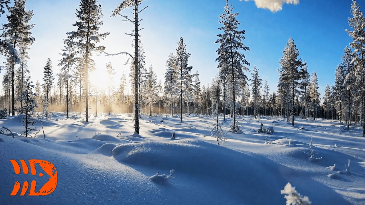 Rovaniemi - Home of Arctic Rally Finland 2021