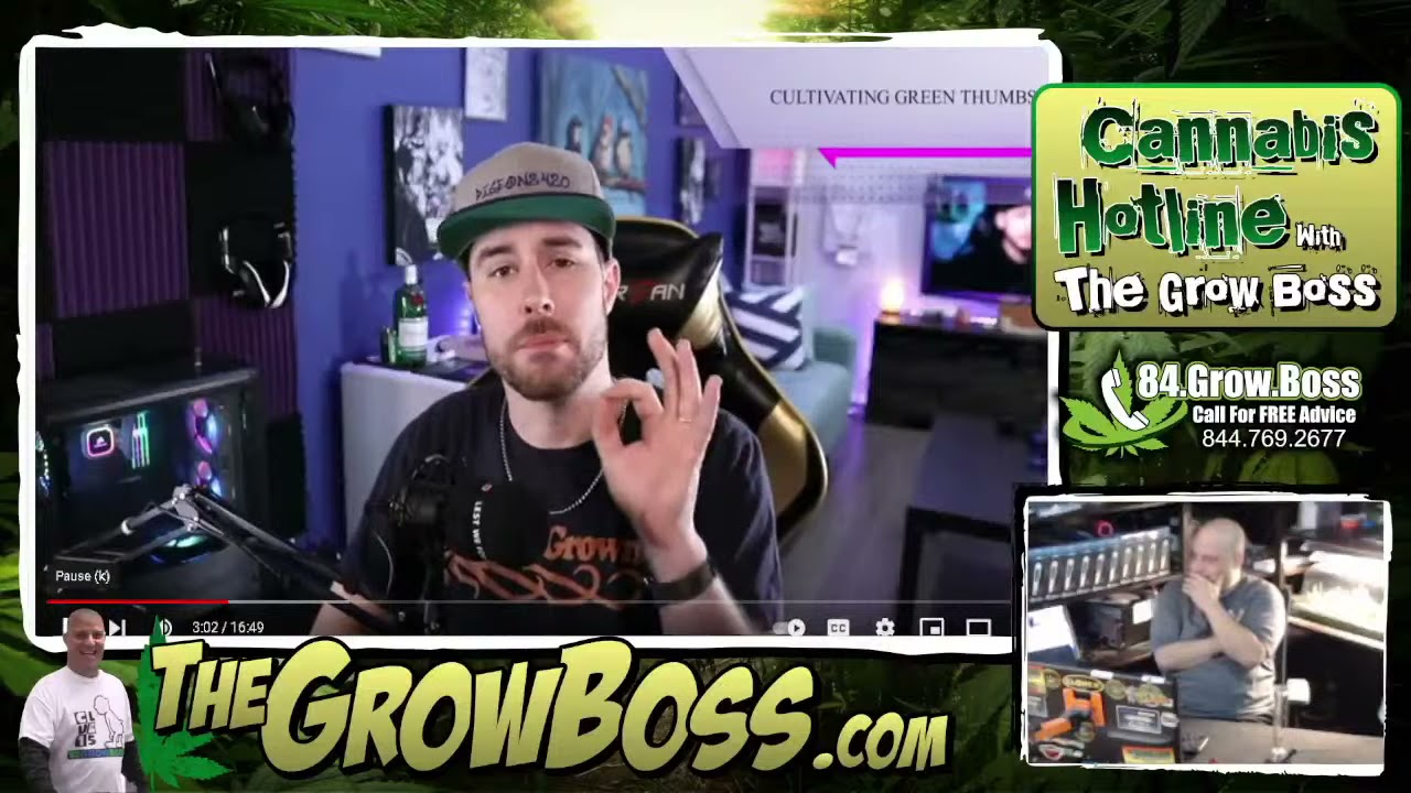 @Pigeons 420- genius content but still a terrible grower | Grow Boss
