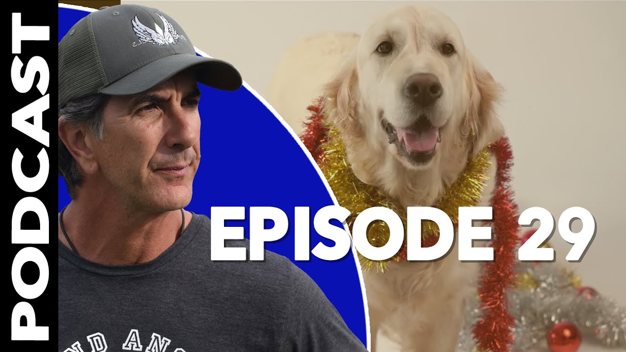 Dogs and the Holidays - Robert Cabral Dog Training Podcast Episode 29