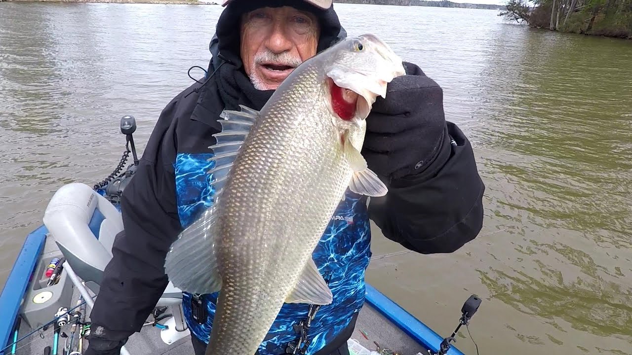 Saturday Fishing, Crowded Or Not? Lake Murray