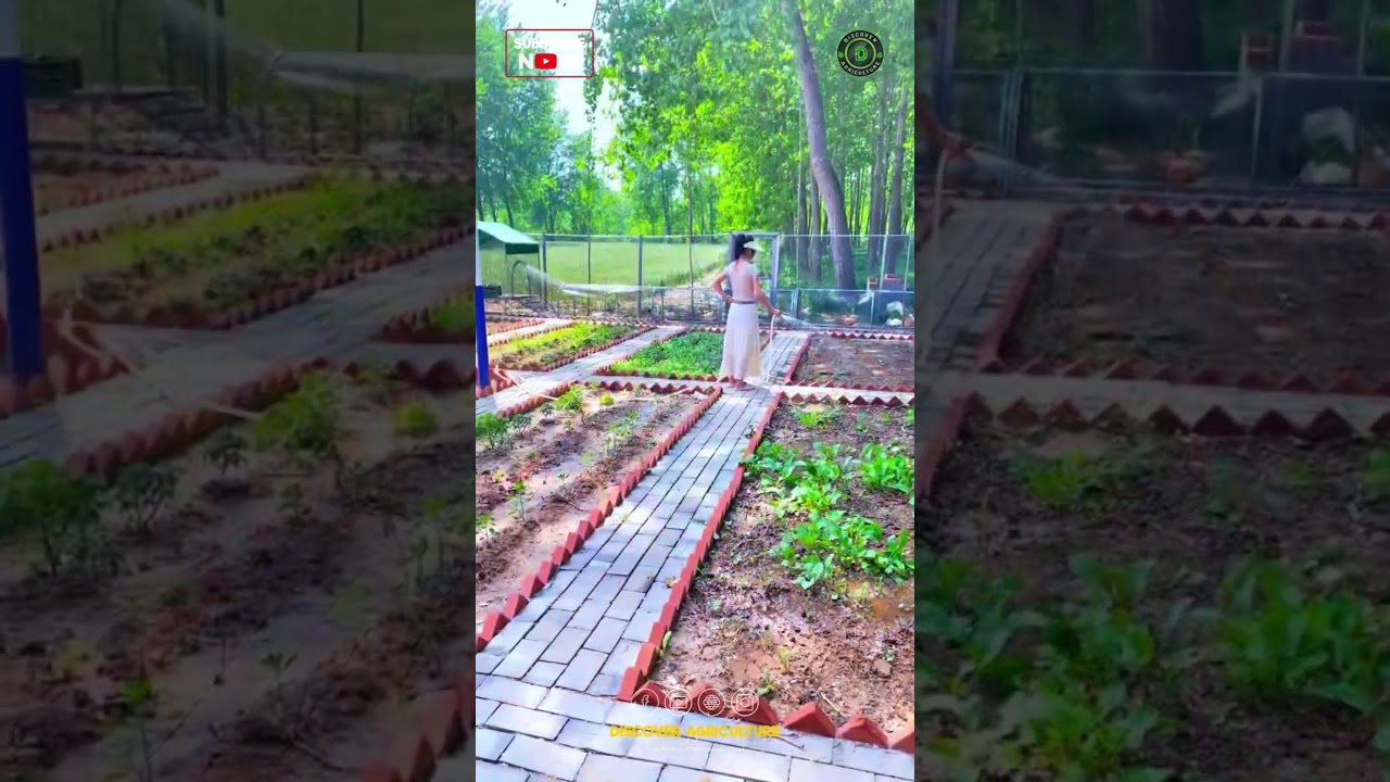Beautiful Integrated Farm