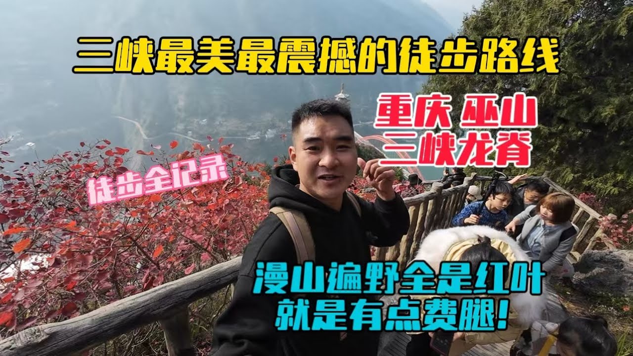 徒步巫山三峽龍脊全記錄，三峽最美最震撼的徒步路線，滿山的紅葉似彩霞，風景很美，就是有點費腿！