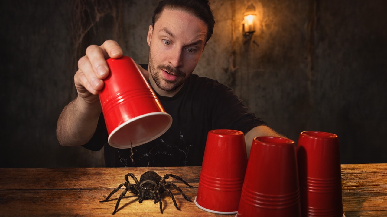 We Spelen SPINNEN ROULETTE!