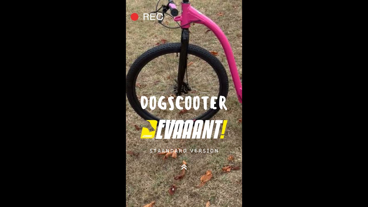 Présentation de la nouvelle canitrottinette Devaaant Standard 29/29