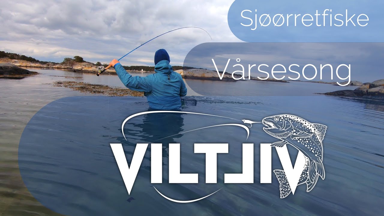 Sjøørretfiske - Vårsesong 2021