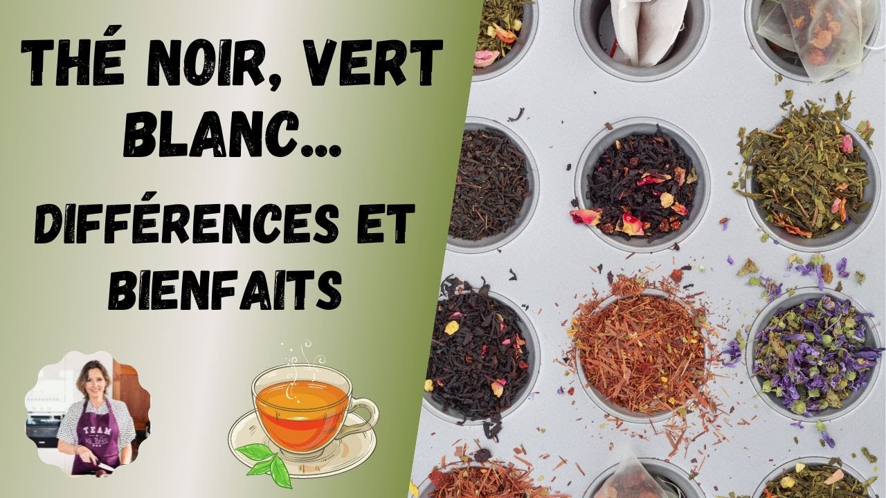 Tout savoir sur le thé !