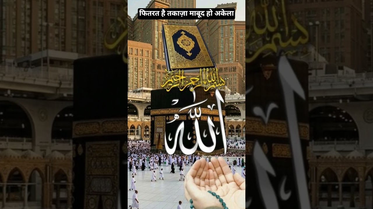 New Amazing Hamd ❣️#allah #muhammadﷺ#love#hamd#hearttouching#motivation#islamicstatus#viral